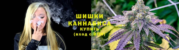 PSILOCYBIN Алексин