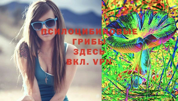 PSILOCYBIN Алексин