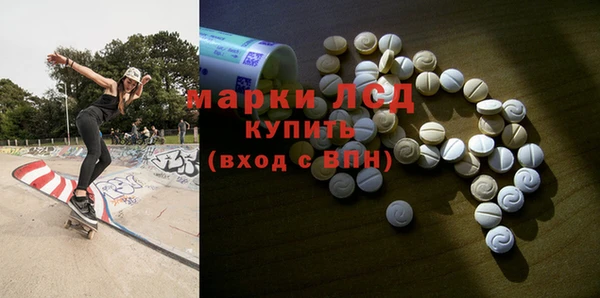 стаф Сосновоборск