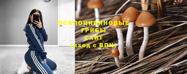 прущая мука Алексеевка