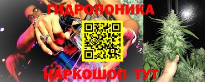 mdpv Лесосибирск